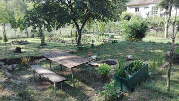 Apartment, 1 Bedroom, Lake View | Garden view