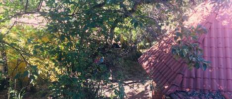 Nhà gỗ | Bộ đồ giường cao cấp, giường gấp/giường phụ (phụ phí)