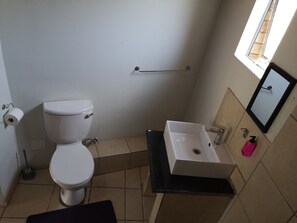 Habitación Deluxe | Baño | Regadera, regadera con hidromasaje, bidet, shampoo 