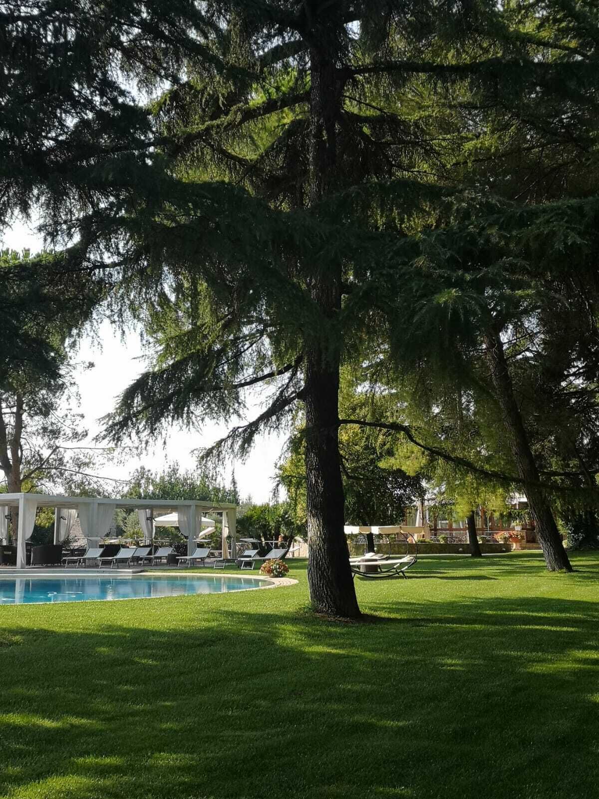 Uma área de piscina com uma grande árvore, um espaço coberto para relaxar e um gramado bem cuidado.