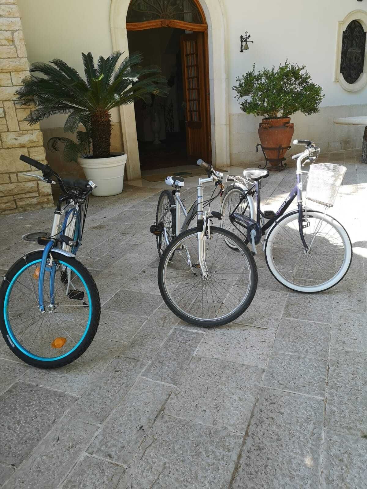 Três bicicletas estacionadas numa área pavimentada em pedra, em frente a um edifício com um vaso de planta grande e uma porta.