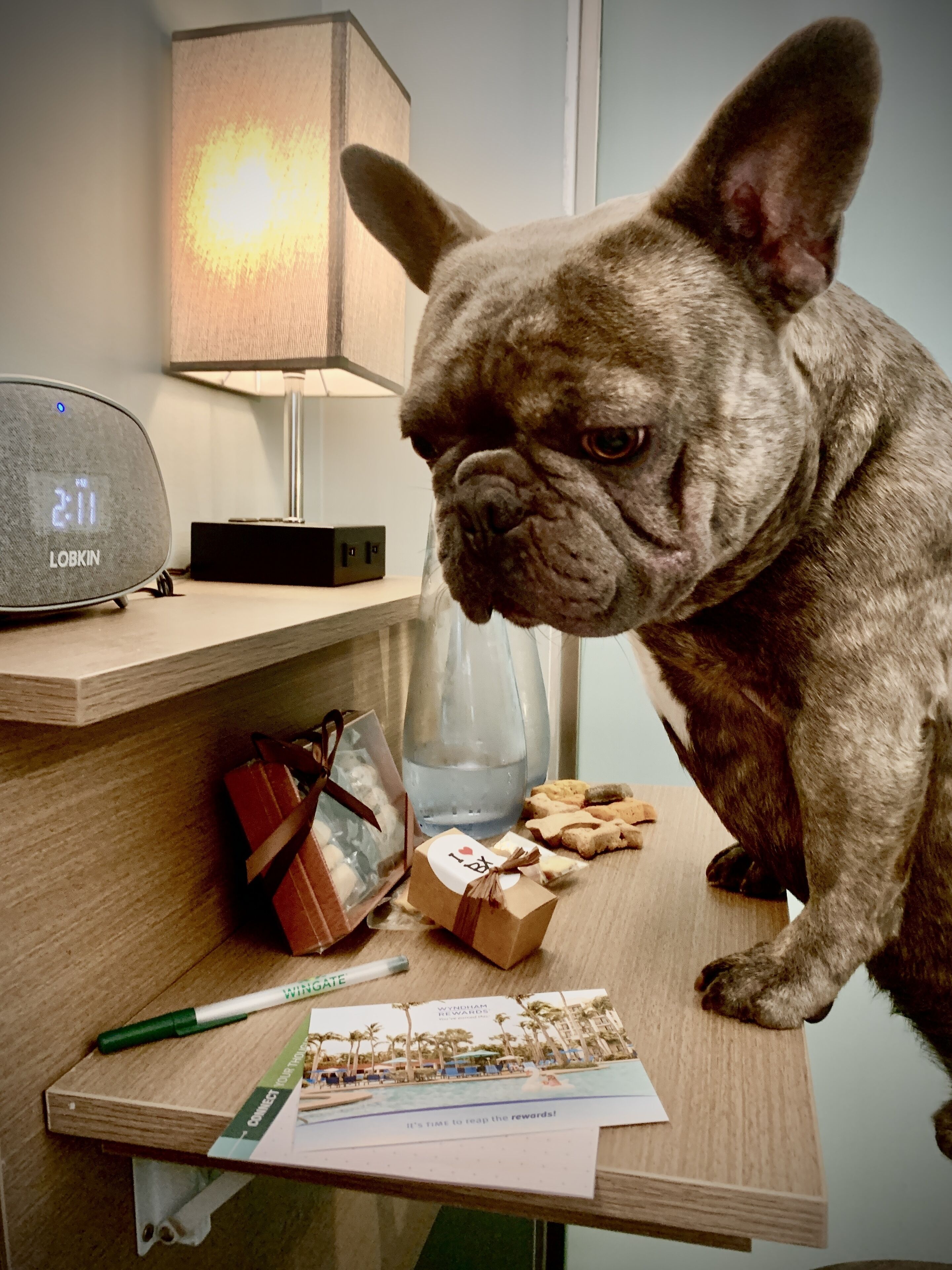 egyptian cotton sheets, premium bedding, minibar, in-room safe