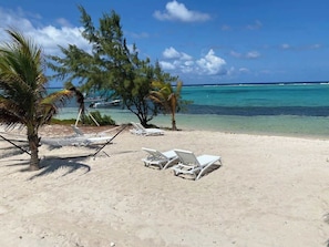 Ein Strand mit weißen Liegestühlen und Palmen.