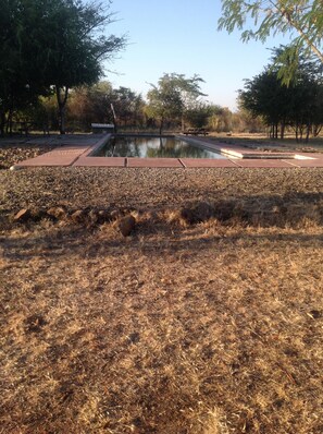 Outdoor pool, a natural pool