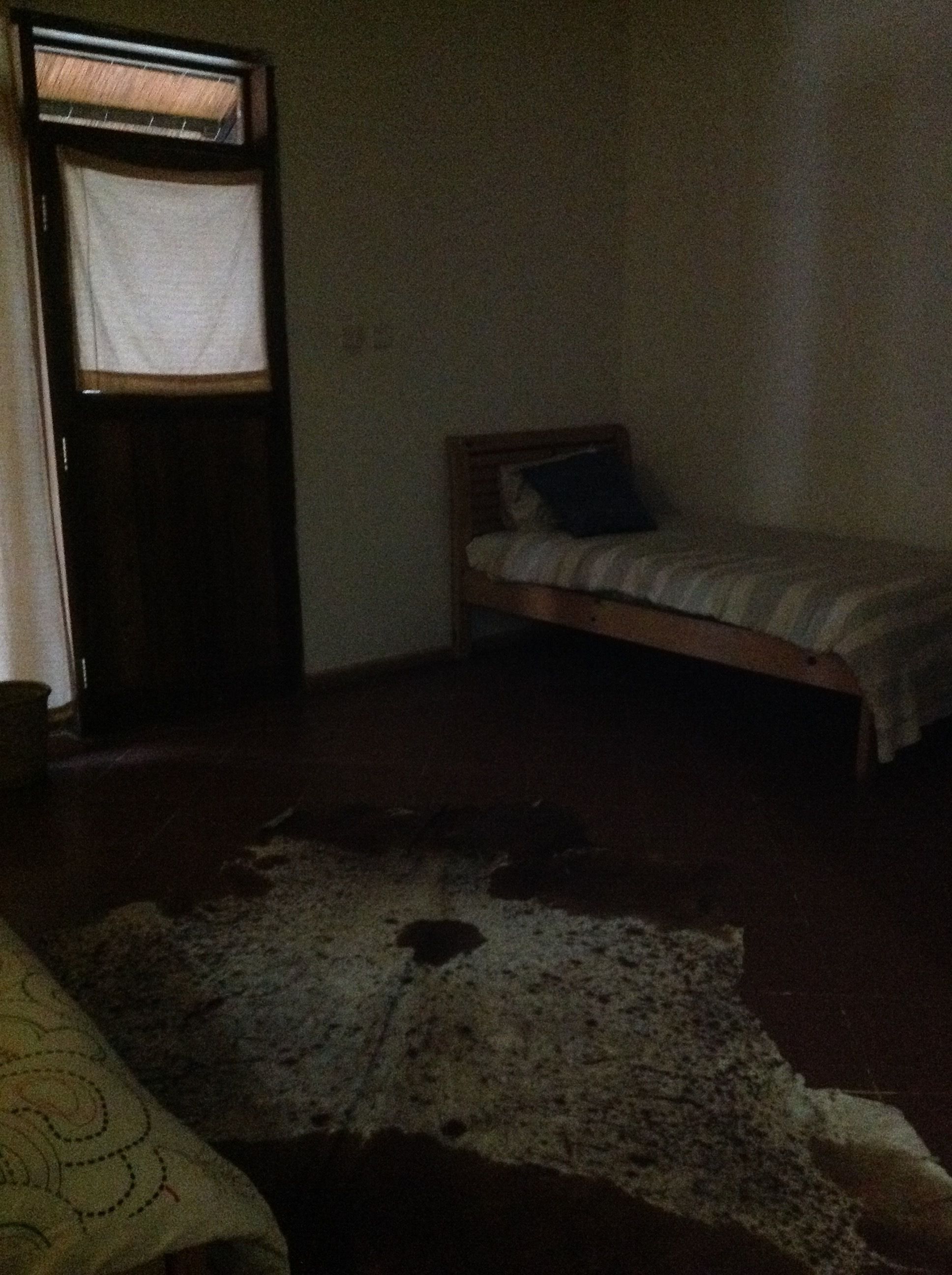 A dimly lit room with a single bed, a window with a blind, and a patterned rug on the floor.