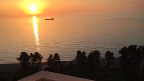 الإطلالة من المنشأة