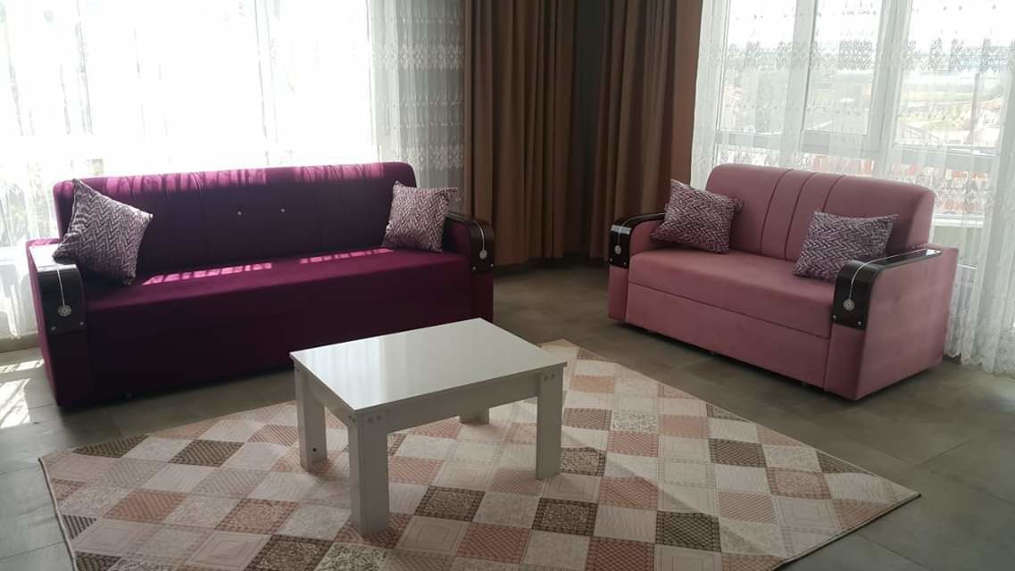 Una sala de estar con dos sofás, una mesa de centro y una alfombra estampada.