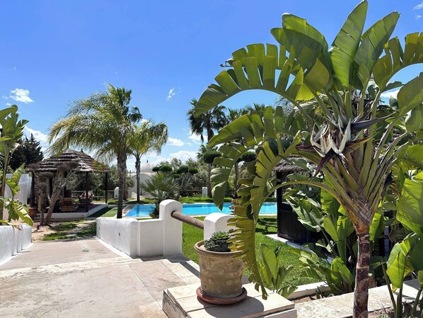 Un espace piscine agrémenté d’un gazebo à toit de chaume, d’une végétation tropicale luxuriante et d’un ciel d’un bleu éclatant.