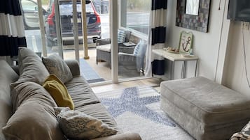 Smart TV, DVD player, books