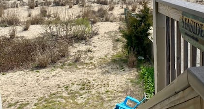 LOCATION! pet friendly! Oceanfront building! Free Parking! Walk everywhere!!