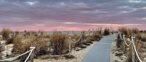 Plage, chaises longues