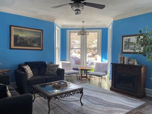 TV, fireplace, books
