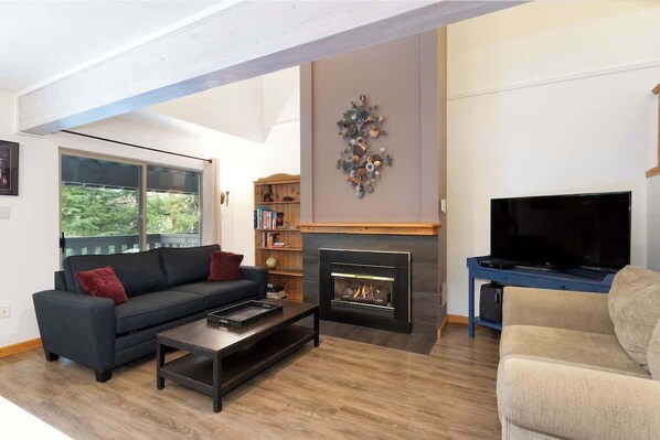 Télévision, cheminée, espaces bureaux