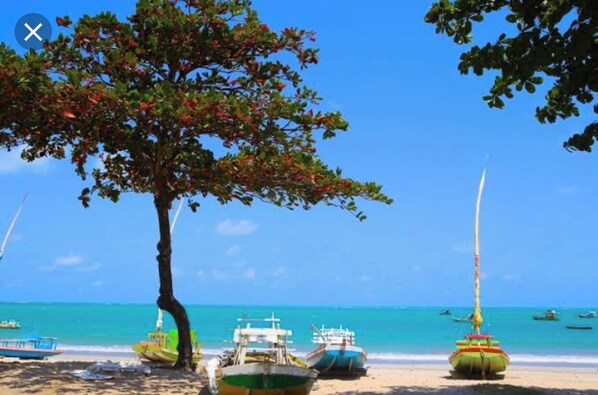 Guests can enjoy a serene beach setting with boats anchored on the sand, shaded by a lush tree.