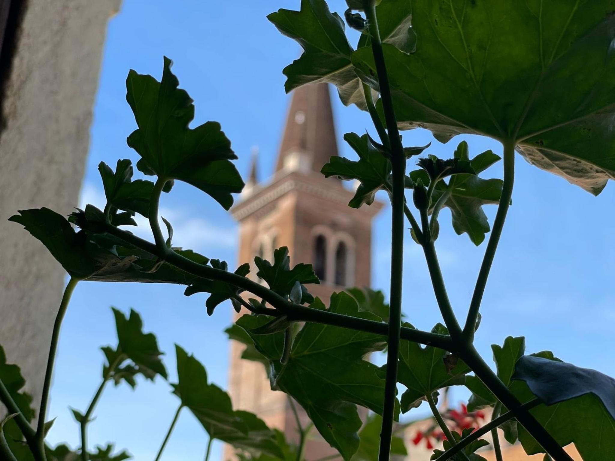 Foto - Vecchia Verona Rooms & Apartments