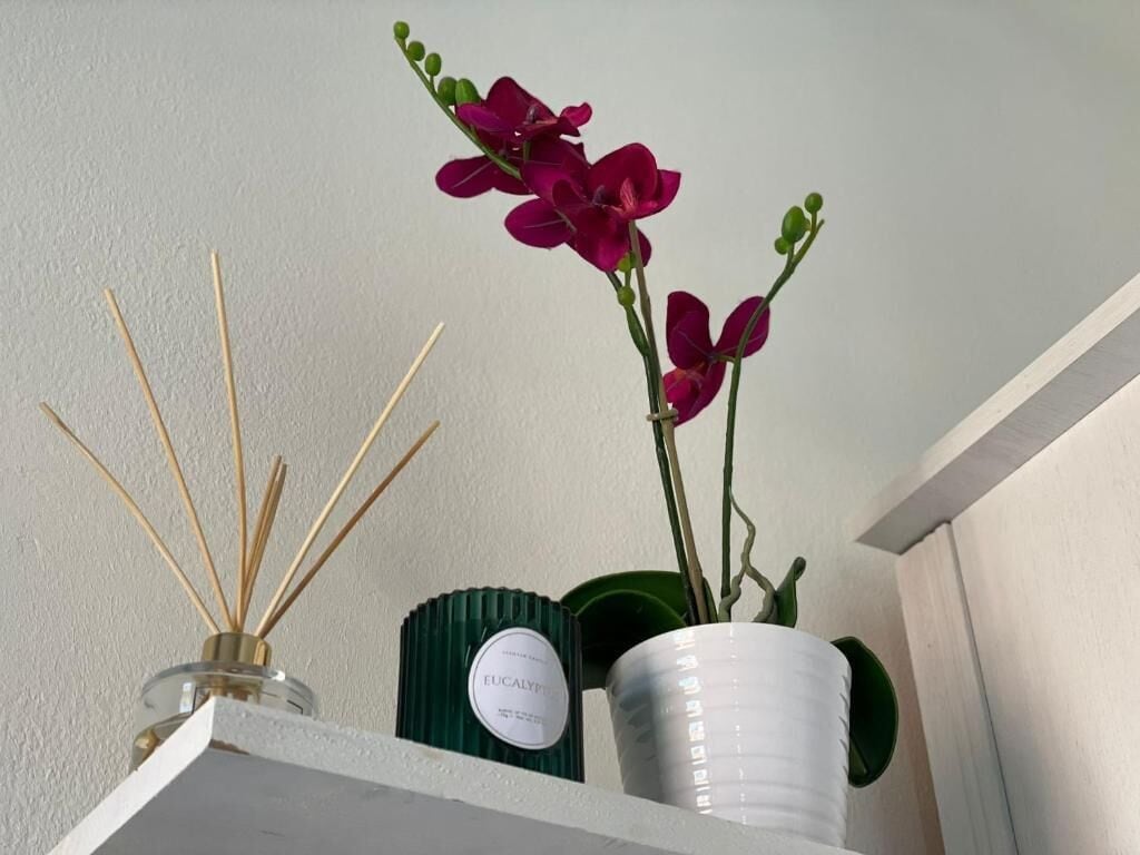 A shelf with a reed diffuser, a green container labeled 'Eucalyptus,' and a white pot with a plant.
