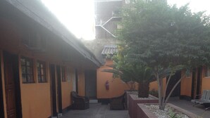 A corridor with a row of doors on one side, a small seating area with chairs, and a tree in a planter.