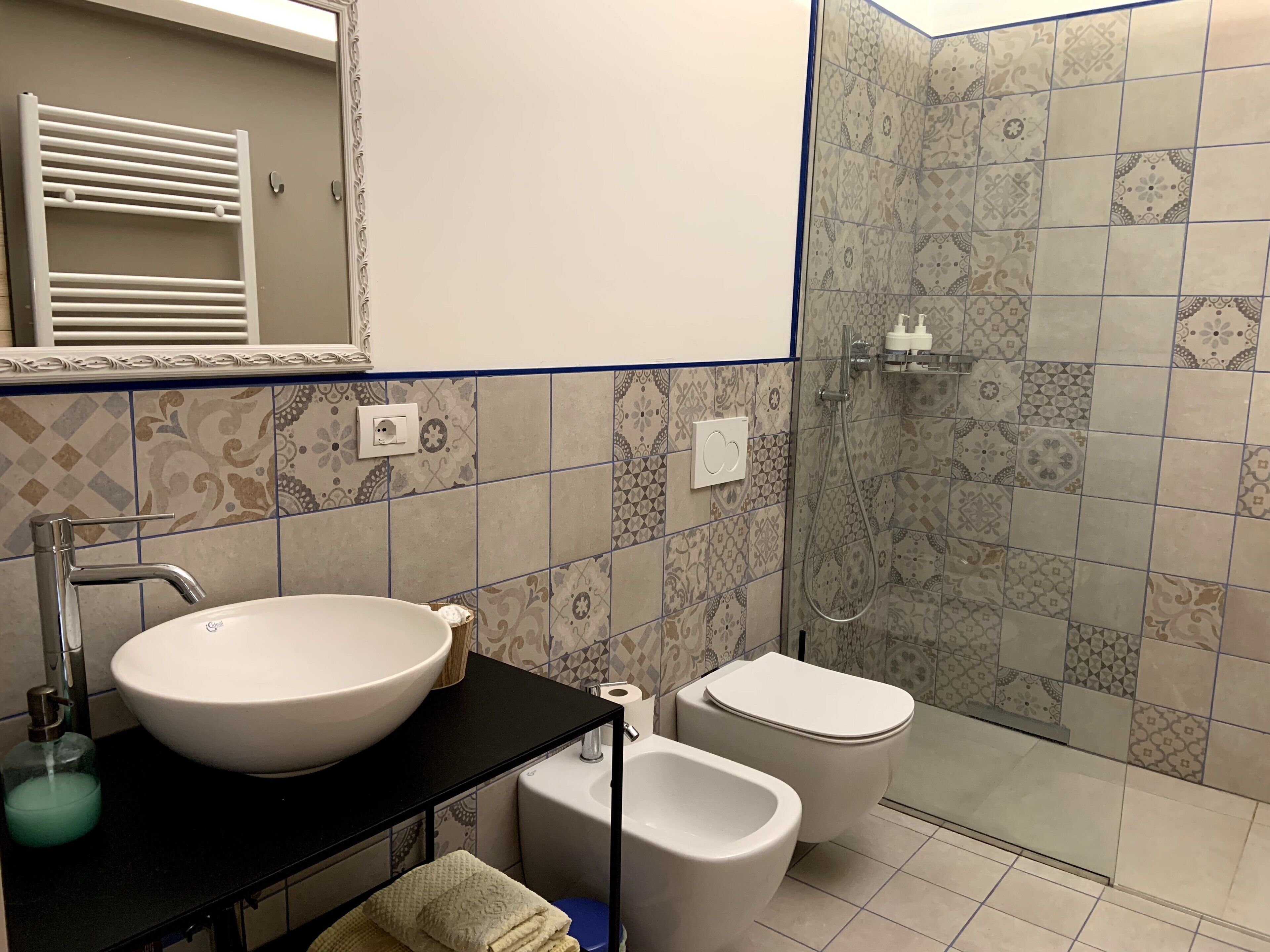 Shower, hair dryer, bidet, towels