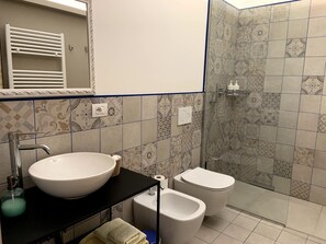 Shower, hair dryer, bidet, towels