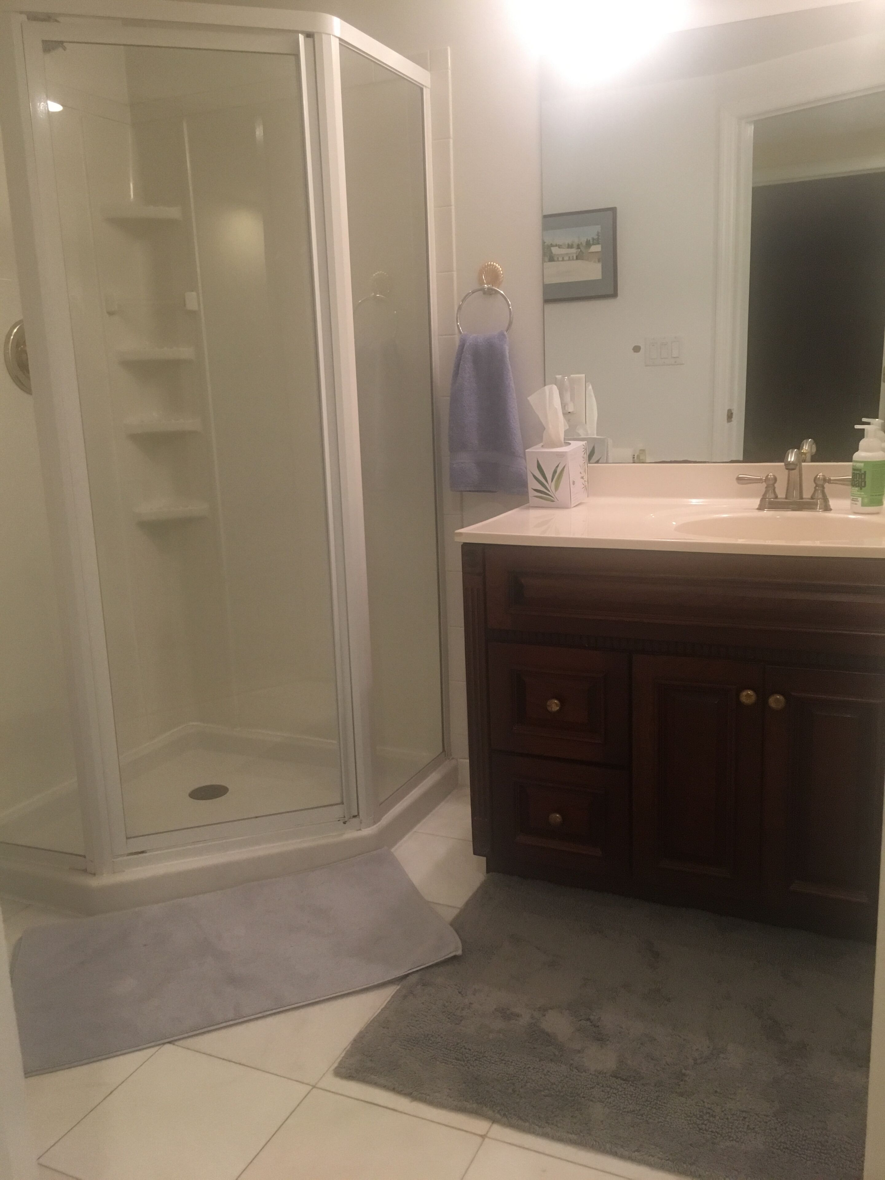Une salle de bain avec une douche à parois de verre, un meuble-lavabo avec un miroir et un porte-serviettes.