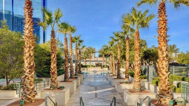 A pathway lined with palm trees leading to a building with a glass facade.