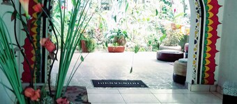 Kitara House Backpackers Hostel - Tarapoto - Perú