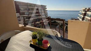 Ein Balkon mit Meerblick, einem Tisch mit Topfpflanzen und einem Stuhl.