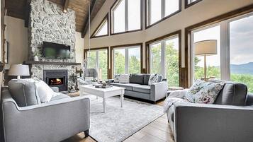 Télévision, cheminée, livres, espaces bureaux