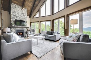 Télévision, cheminée, livres, espaces bureaux