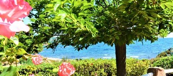 MINI-VILLA  CANELLA No. 2 - THE WATERFRONT- 3 pers