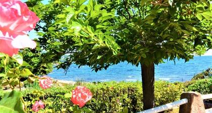 MINI-VILLA CANELLA N°2 - LES PIEDS DANS L'EAU