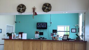 Un comptoir d’accueil avec un mur de couleur turquoise, deux guirlandes suspendues au-dessus, un téléviseur et divers affiches d’information.