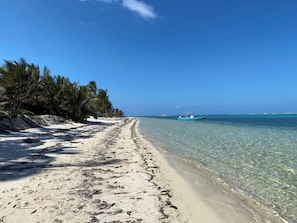 A beach with clear turquoise water, a sandy shore, and a line of palm trees.