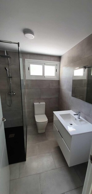 Combined shower/tub, rainfall showerhead, hair dryer, bidet