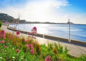 Een waterkantpromenade met een verharde voetpad, een lantaarnpaal, en roze bloemen op de voorgrond.