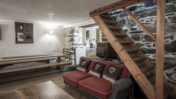 Télévision, cheminée, lecteur de DVD, livres