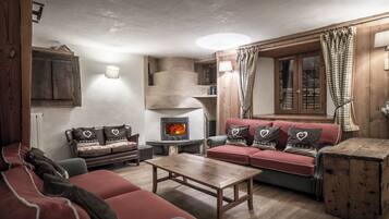 Télévision, cheminée, lecteur de DVD, livres