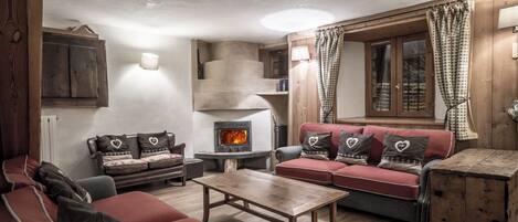 TV, fireplace, DVD player, books