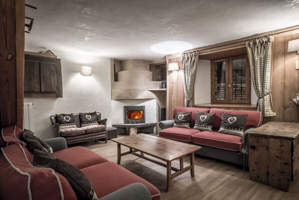 Télévision, cheminée, lecteur de DVD, livres