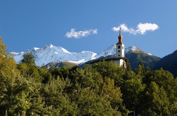 Unclassified image, 1 of 47, button