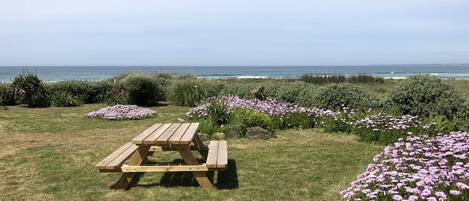 Overnatningsstedets område