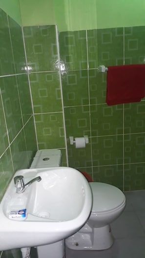 Regadera y toallas