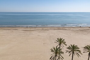 A wide sandy beach with a calm sea and a few palm trees in the foreground. - FRONTALMAR, ESC-A, 8º-29 (Cullera)