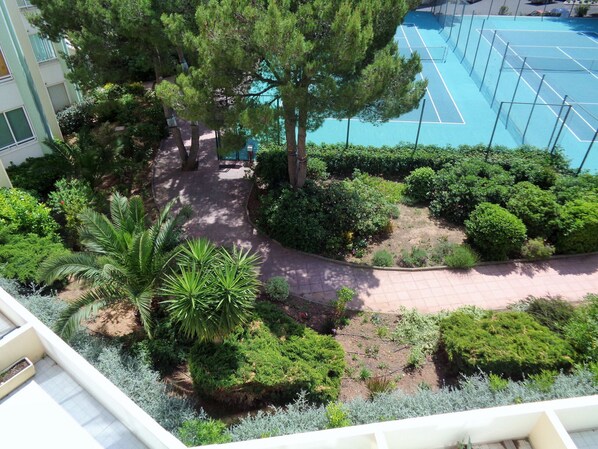 Terrain de sport