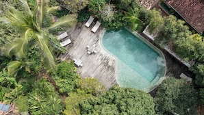 Vista aérea de una piscina privada rodeada de exuberante vegetación y una terraza de madera con sillones de descanso.
