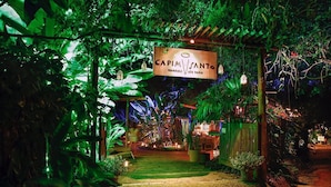 Vista nocturna de un jardín exuberante y verde que conduce a un edificio con un letrero que dice 'Capim Santo'.