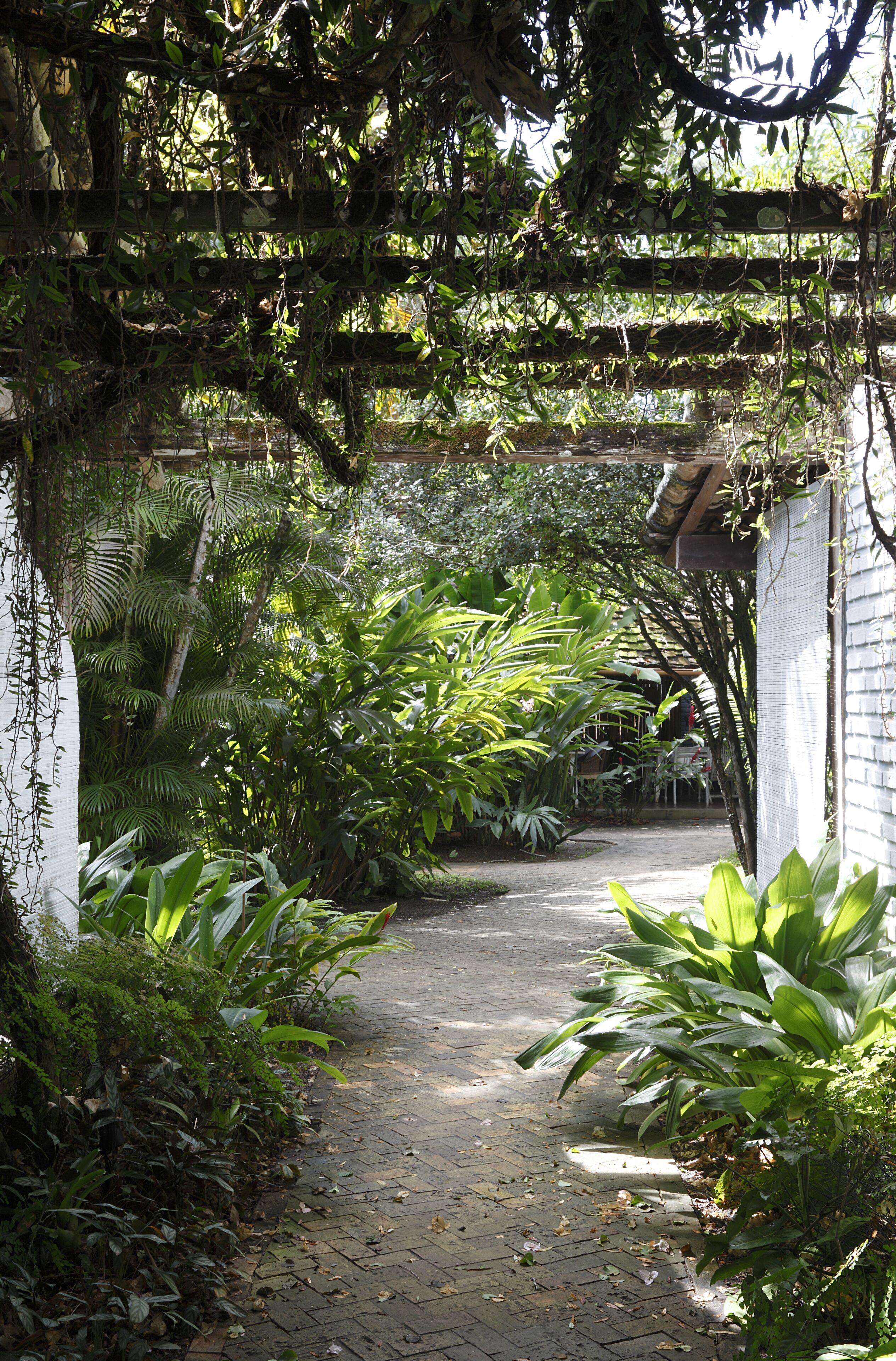 Suíte (Especial) | Vista para o jardim