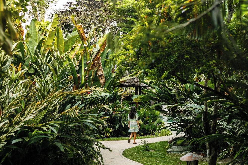 Capim Santo Trancoso - Pousada e Restaurante by null