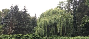 Apartment 2 - Guesthouse Birkengrund in Krummsee