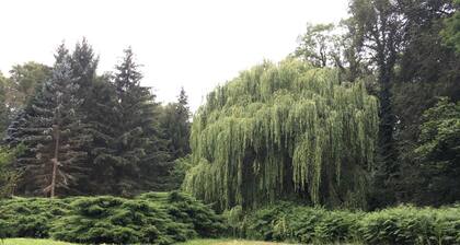 Appartement 2 - Gästehaus Birkengrund in Krummsee